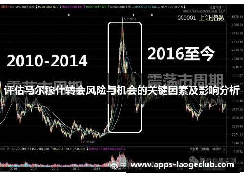 评估马尔穆什转会风险与机会的关键因素及影响分析