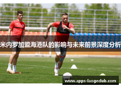 米内罗加盟海港队的影响与未来前景深度分析 米内罗加盟海港队的影响与未来前景深度分析