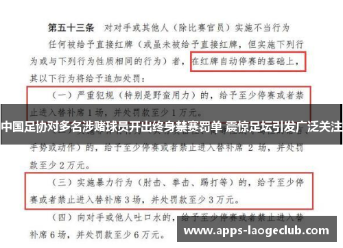 中国足协对多名涉赌球员开出终身禁赛罚单 震惊足坛引发广泛关注