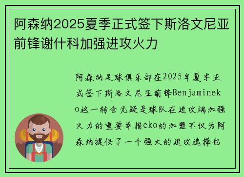 阿森纳2025夏季正式签下斯洛文尼亚前锋谢什科加强进攻火力 阿森纳2025夏季正式签下斯洛文尼亚前锋谢什科加强进攻火力