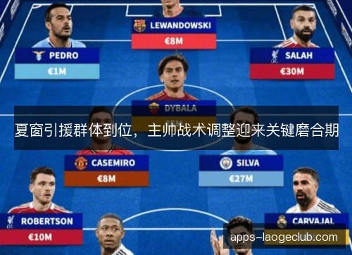 夏窗引援群体到位，主帅战术调整迎来关键磨合期